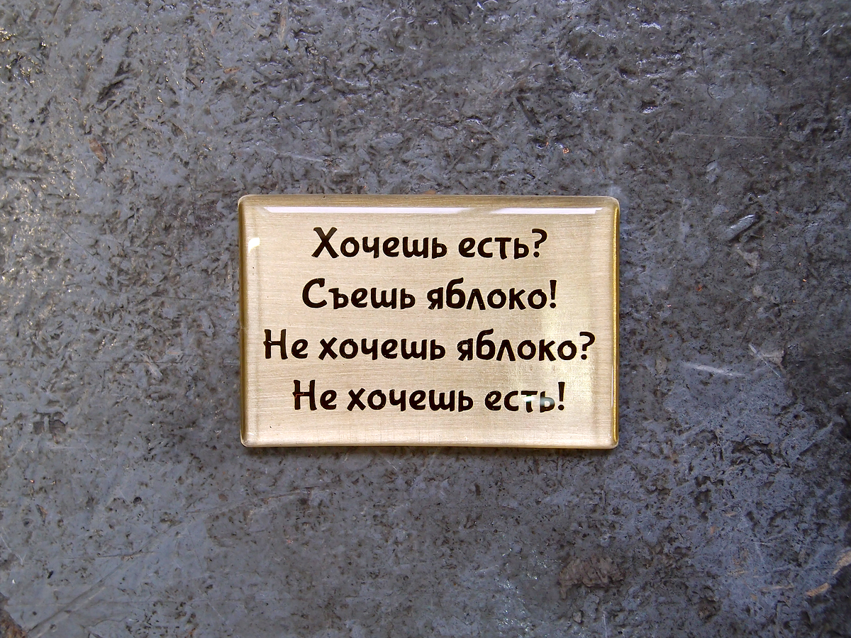 Магнит "Хочешь есть? Съешь яблоко! Не хочешь яблоко? Не хочешь есть!"